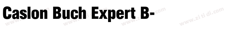 Caslon Buch Expert B字体转换